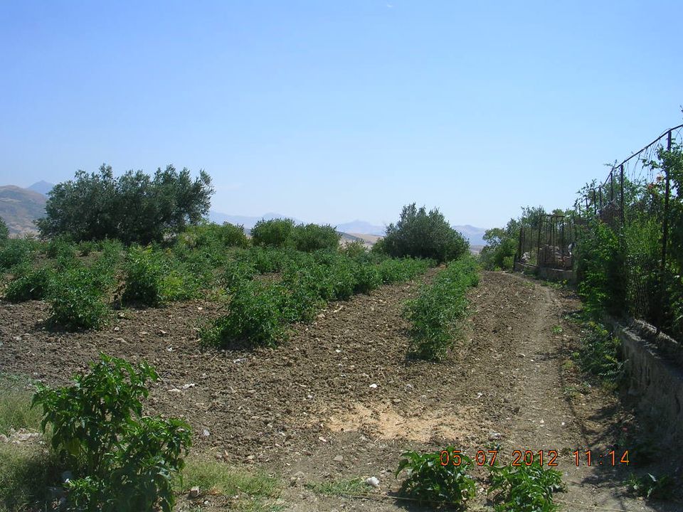 Tomt i Cianciana, Agrigento - bilde 4